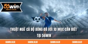 Thuật Ngữ Cá Độ Bóng Đá Với 10 Mục Cần Biết Tại 56Win