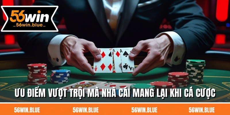 Ưu điểm vượt trội mà nhà cái mang lại khi cá cược